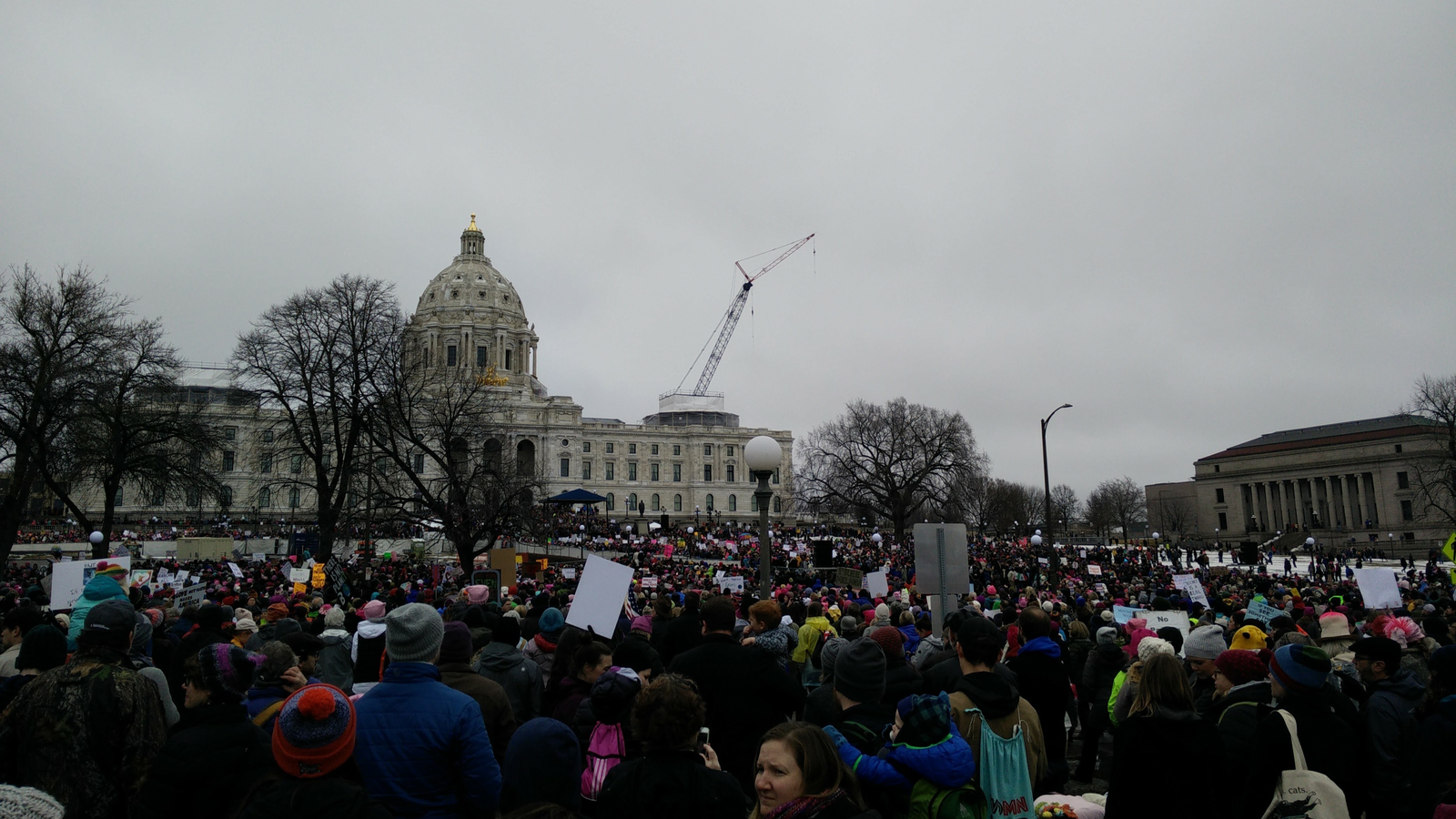 Women's March Minnesota