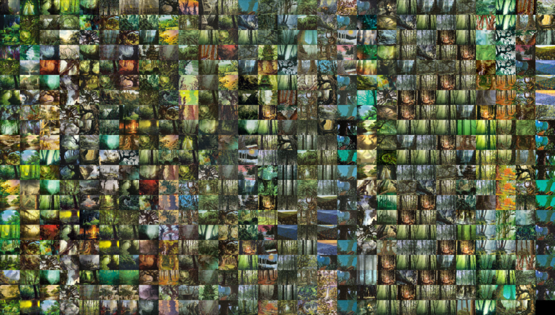 Collage of all MTG Forest illustrations