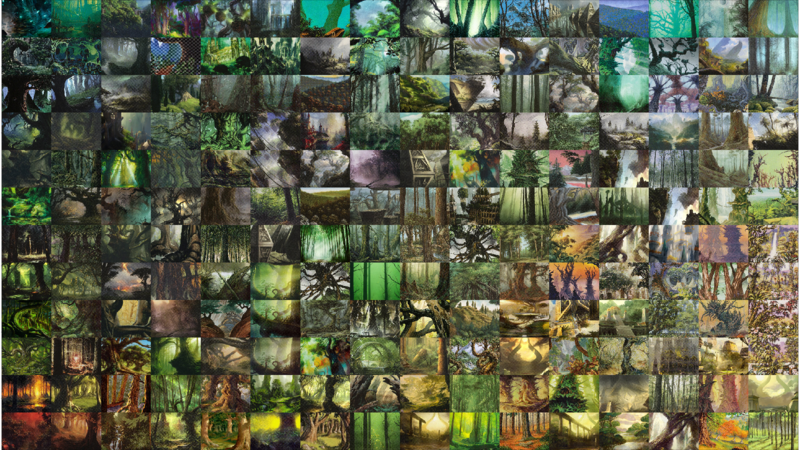 Collage of unique Forest illustrations